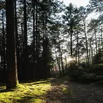 Ferienhaus In Moehrenbach Ueber 2 Etagen *