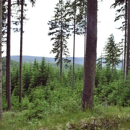 Ferienhaus In Moehrenbach Ueber 2 Etagen Appartement