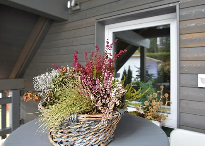 Appartement Mountain Getaway Mohrenbach