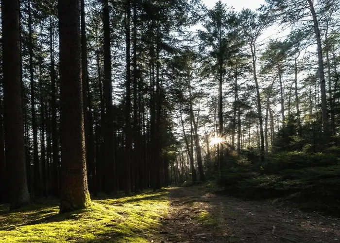 Ferienhaus In Moehrenbach Ueber 2 Etagen *
