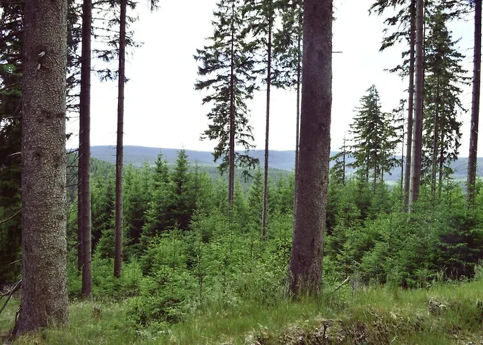 Ferienhaus In Moehrenbach Ueber 2 Etagen Appartement